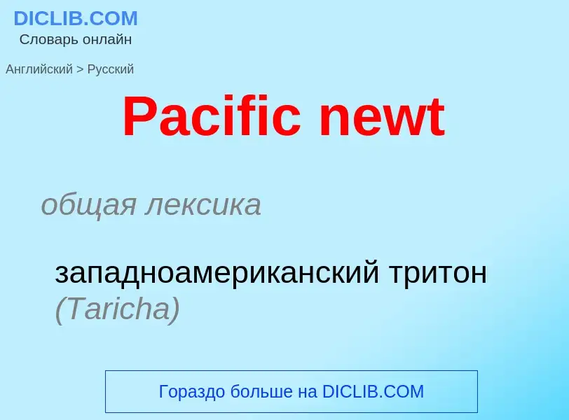 Как переводится Pacific newt на Русский язык