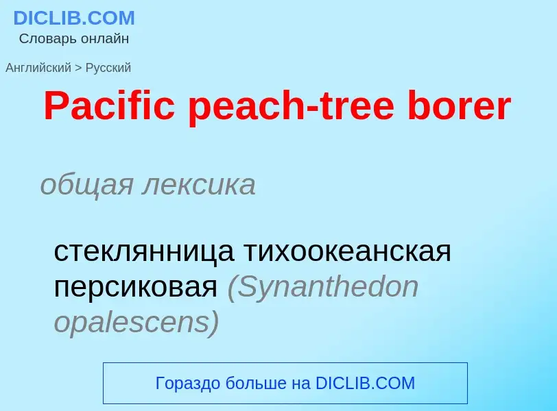 Как переводится Pacific peach-tree borer на Русский язык