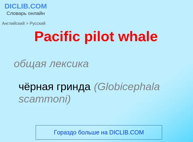 Как переводится Pacific pilot whale на Русский язык