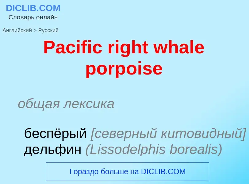 Как переводится Pacific right whale porpoise на Русский язык