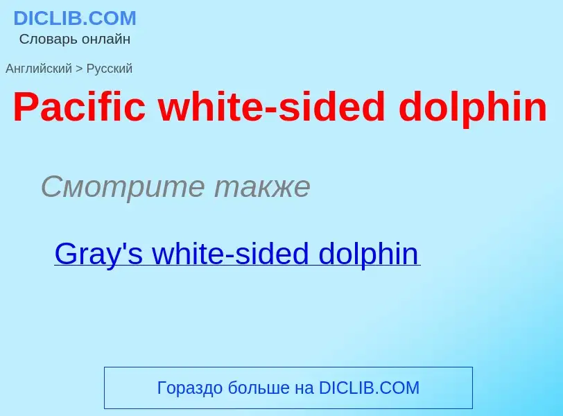 Как переводится Pacific white-sided dolphin на Русский язык