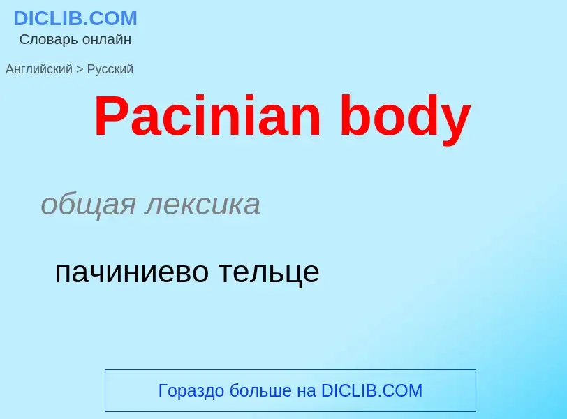 Как переводится Pacinian body на Русский язык