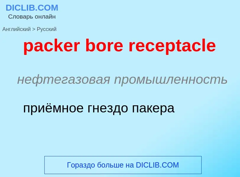 Μετάφραση του &#39packer bore receptacle&#39 σε Ρωσικά