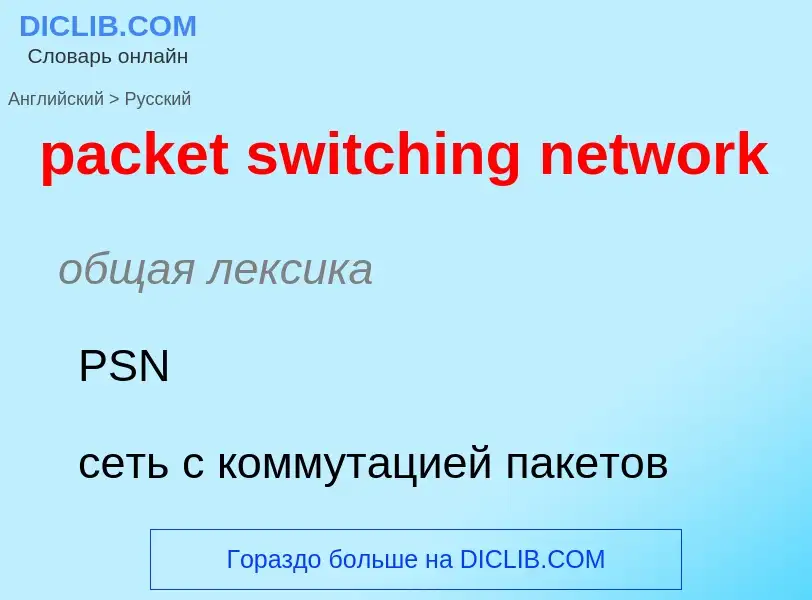 What is the Russian for packet switching network? Translation of &#39packet switching network&#39 to