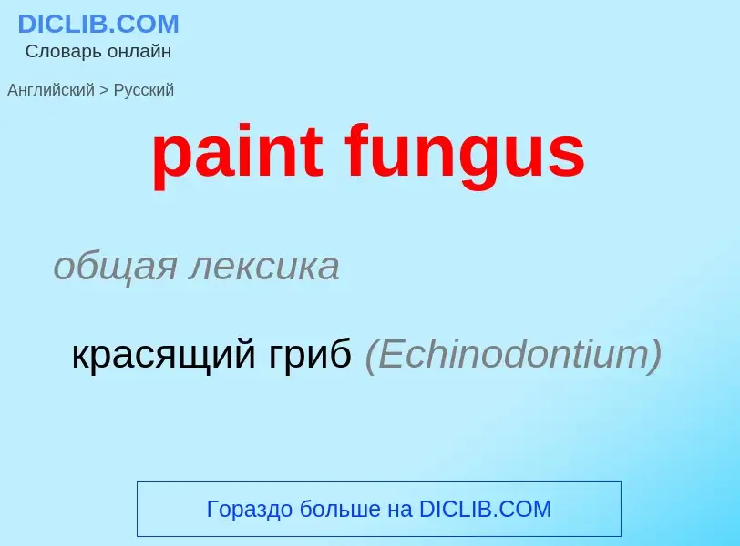 Μετάφραση του &#39paint fungus&#39 σε Ρωσικά