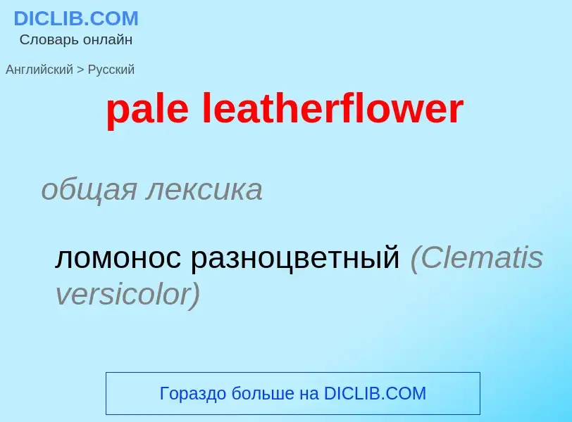 ¿Cómo se dice pale leatherflower en Ruso? Traducción de &#39pale leatherflower&#39 al Ruso