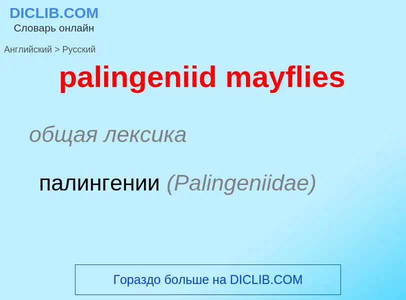 What is the الروسية for palingeniid mayflies? Translation of &#39palingeniid mayflies&#39 to الروسية