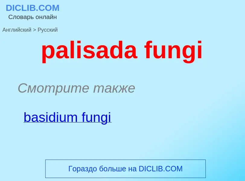 Traduction de &#39palisada fungi&#39 en Russe