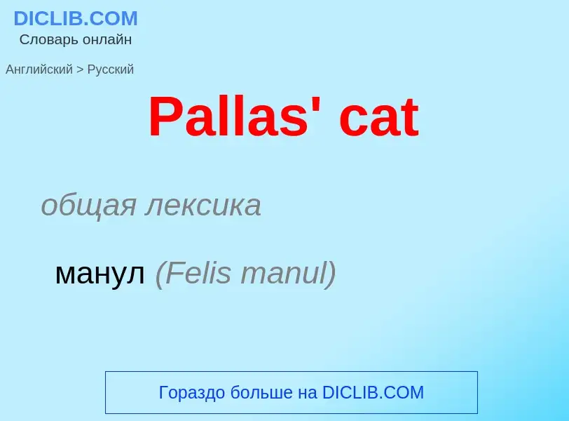 Как переводится Pallas' cat на Русский язык