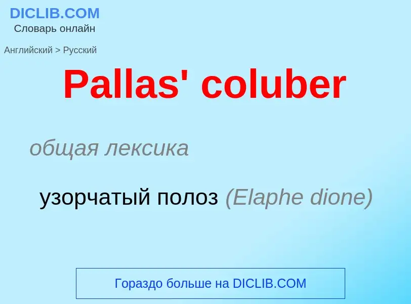 Как переводится Pallas' coluber на Русский язык