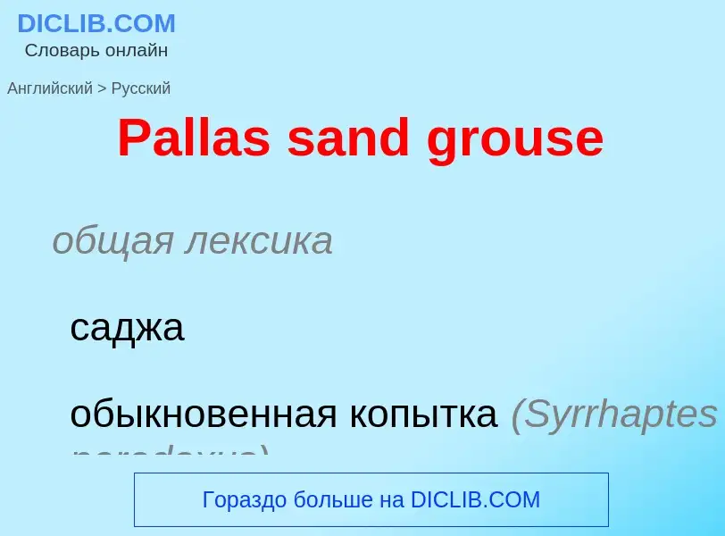 Как переводится Pallas sand grouse на Русский язык