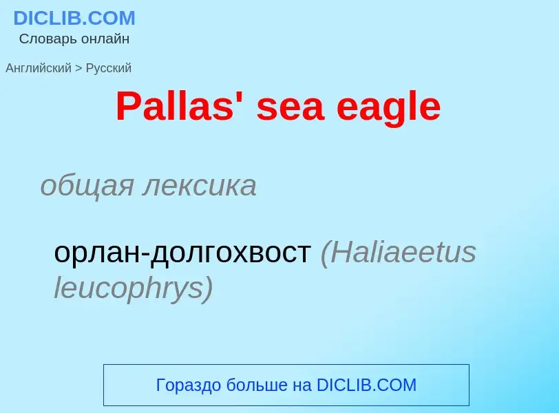 Как переводится Pallas' sea eagle на Русский язык