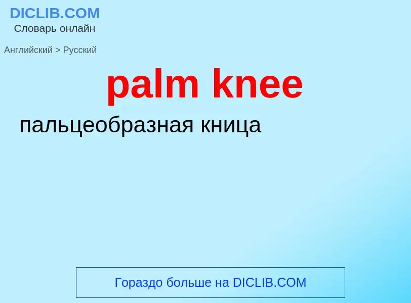 Как переводится palm knee на Русский язык