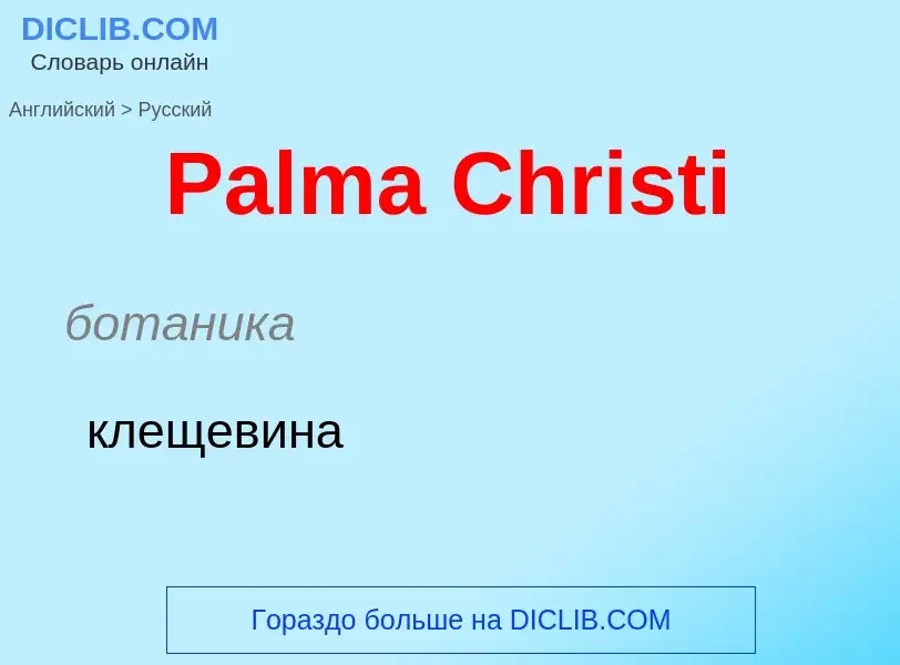 Как переводится Palma Christi на Русский язык