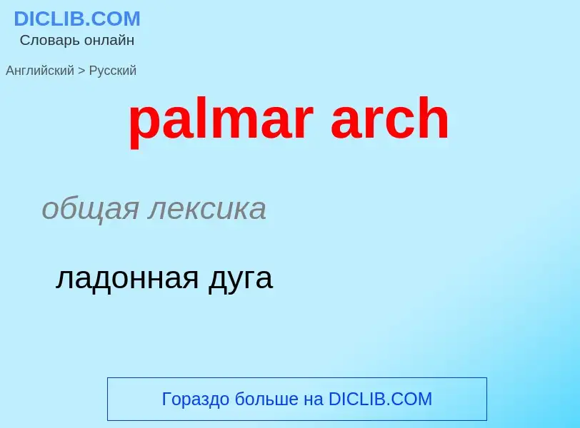 Как переводится palmar arch на Русский язык