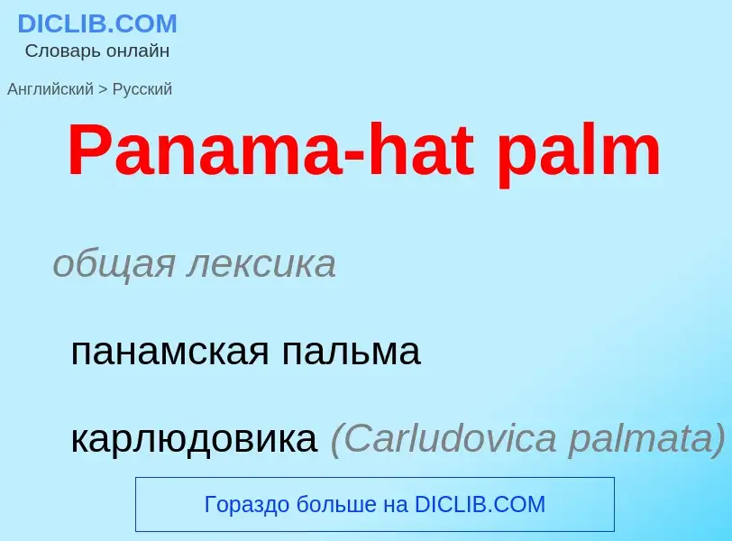 Как переводится Panama-hat palm на Русский язык