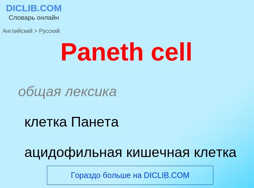 Как переводится Paneth cell на Русский язык