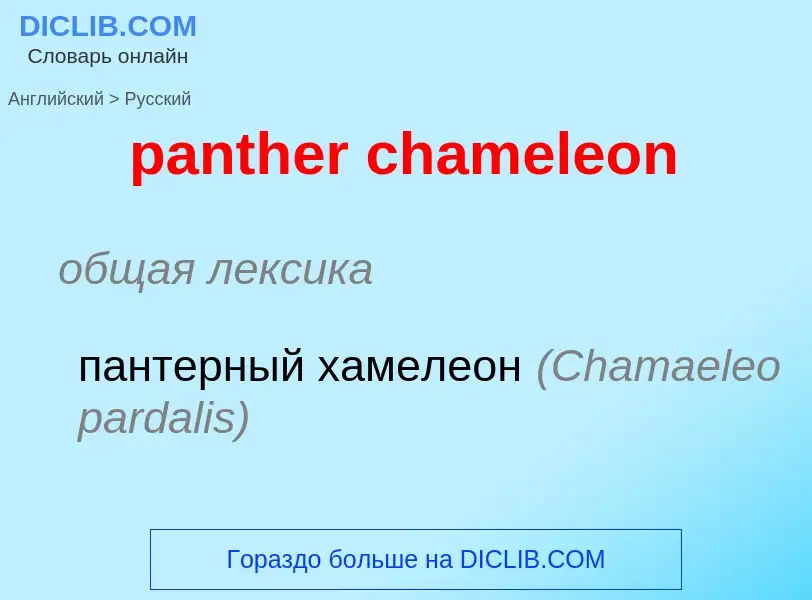 Vertaling van &#39panther chameleon&#39 naar Russisch