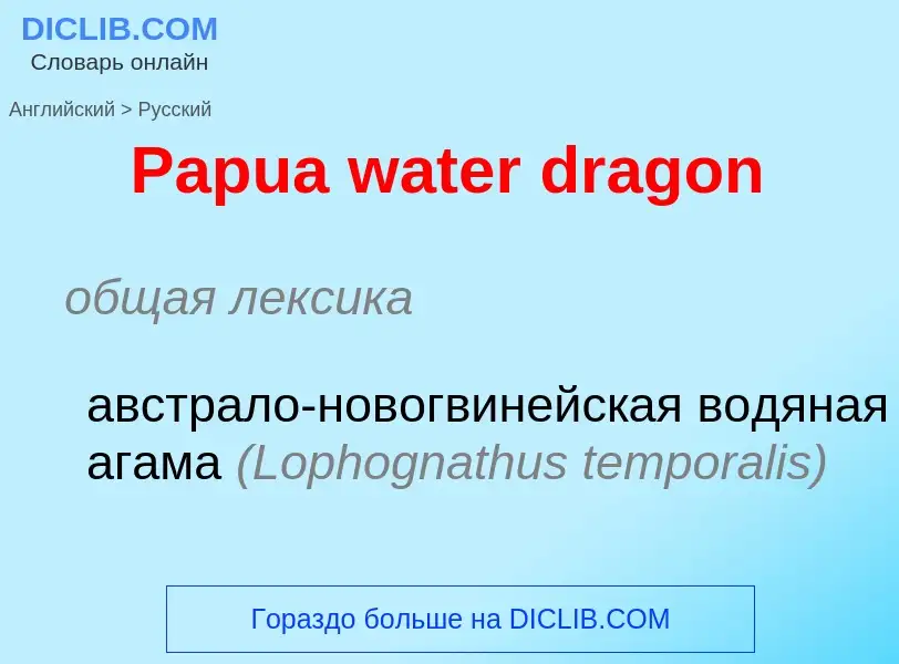 Как переводится Papua water dragon на Русский язык