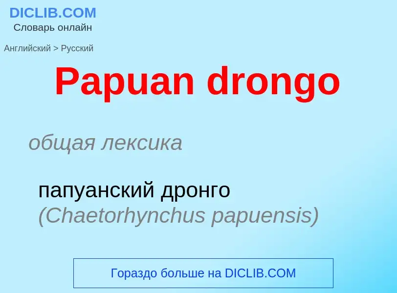 Как переводится Papuan drongo на Русский язык