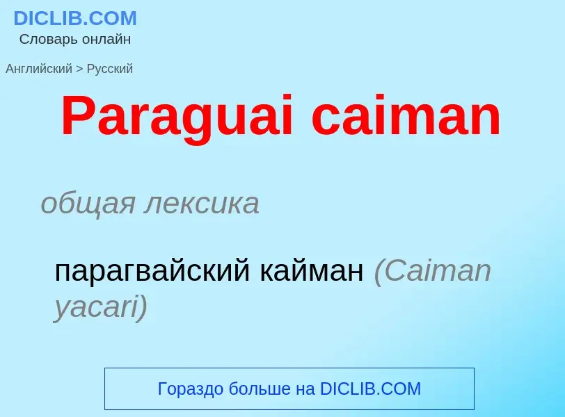 ¿Cómo se dice Paraguai caiman en Ruso? Traducción de &#39Paraguai caiman&#39 al Ruso