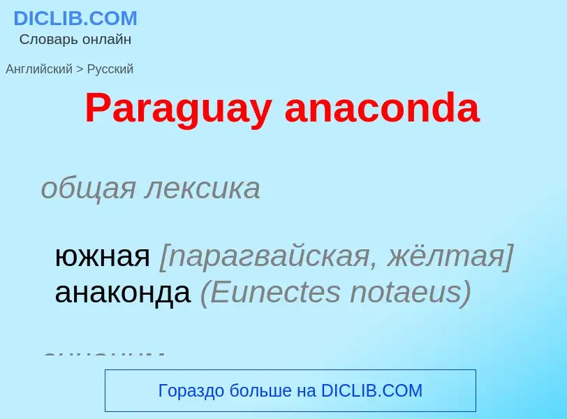 Как переводится Paraguay anaconda на Русский язык