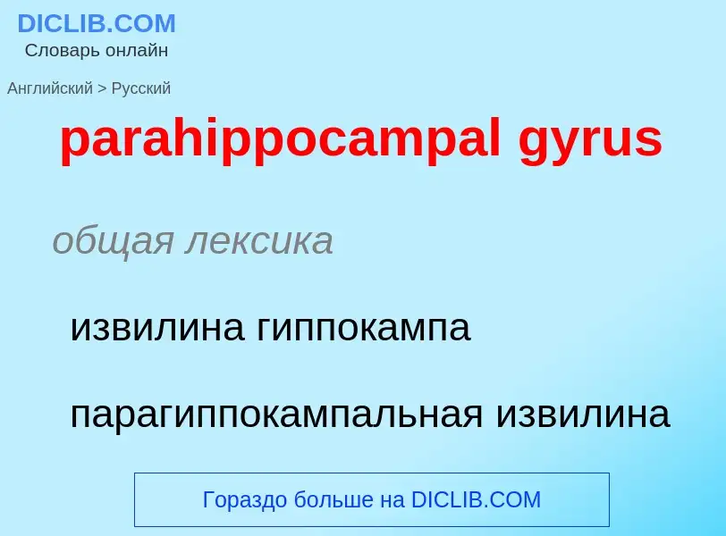 Как переводится parahippocampal gyrus на Русский язык