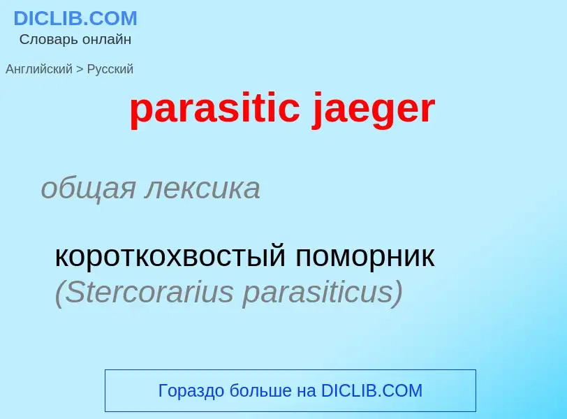 Как переводится parasitic jaeger на Русский язык