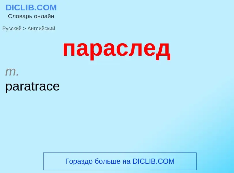 Как переводится параслед на Английский язык