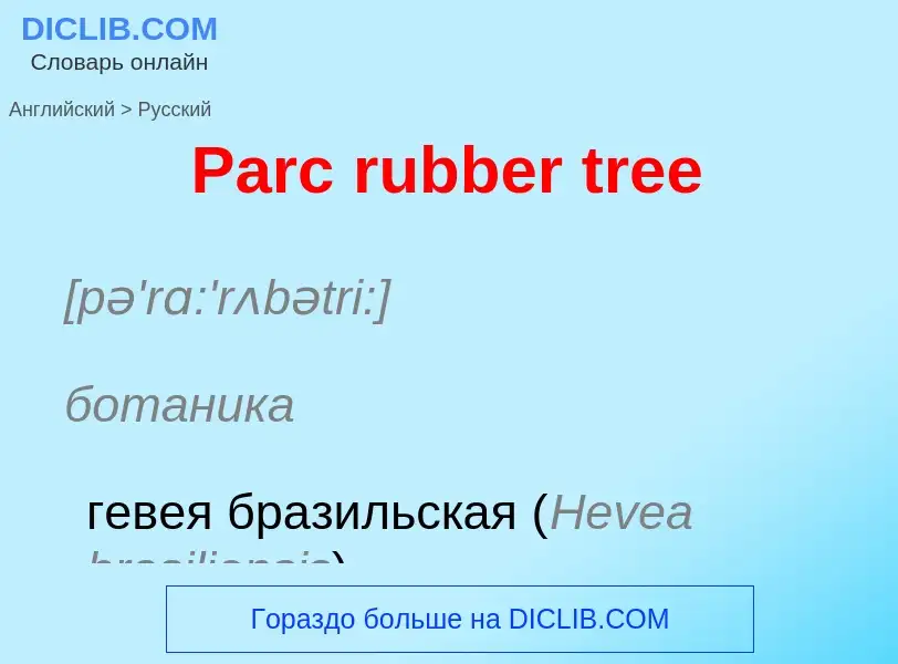 Как переводится Parc rubber tree на Русский язык