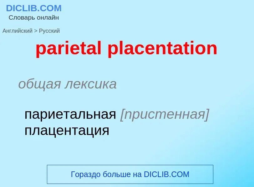 Как переводится parietal placentation на Русский язык