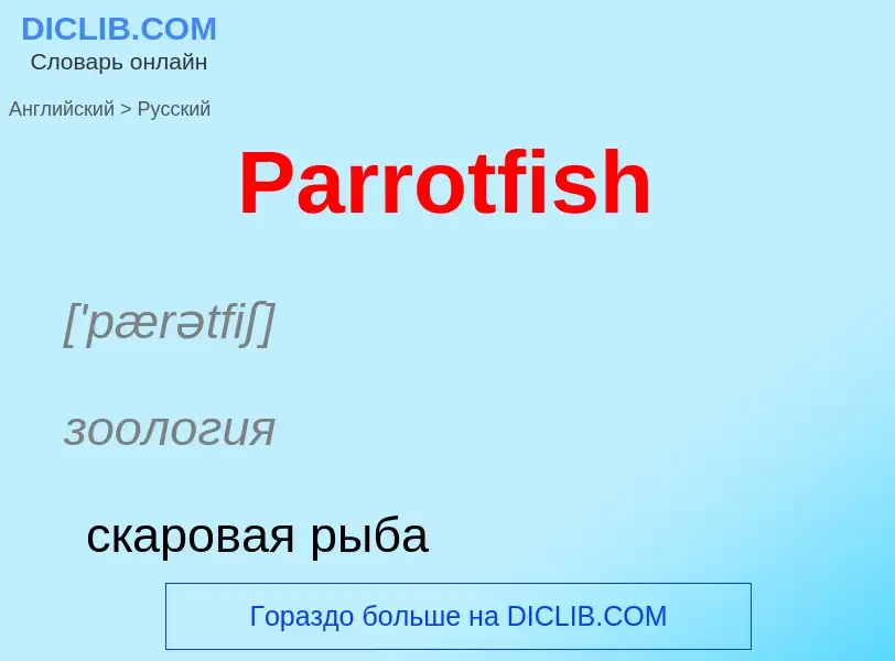 Как переводится Parrotfish на Русский язык