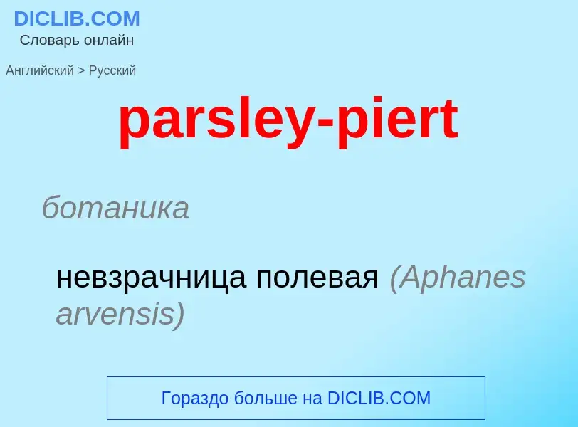 Как переводится parsley-piert на Русский язык