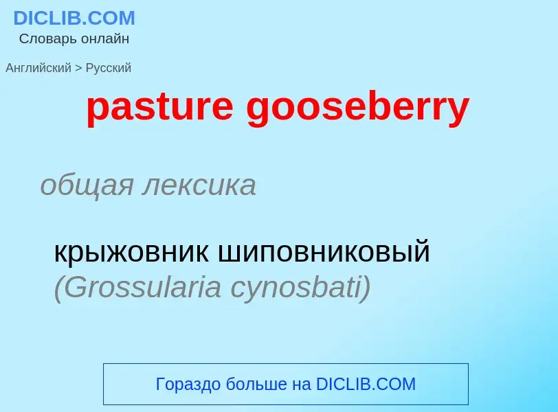 What is the Russian for pasture gooseberry? Translation of &#39pasture gooseberry&#39 to Russian