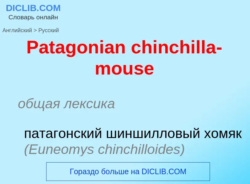 Как переводится Patagonian chinchilla-mouse на Русский язык