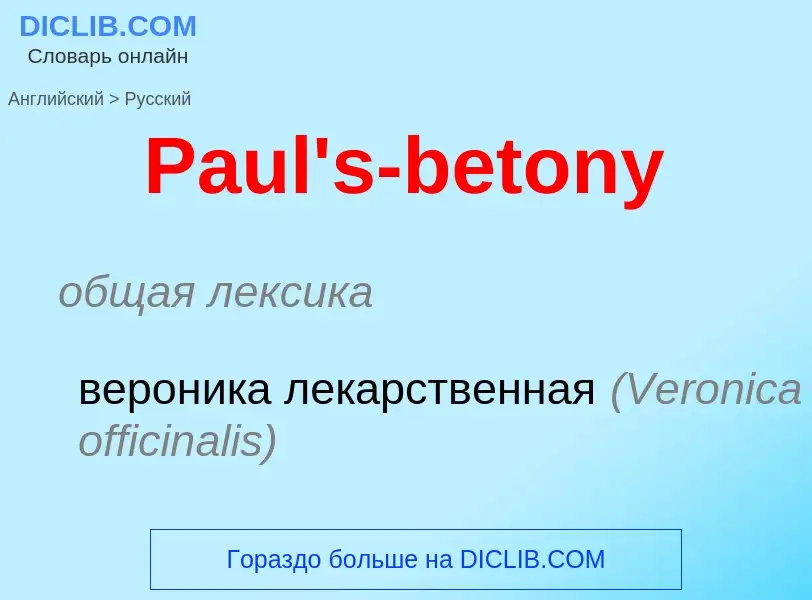 Как переводится Paul's-betony на Русский язык