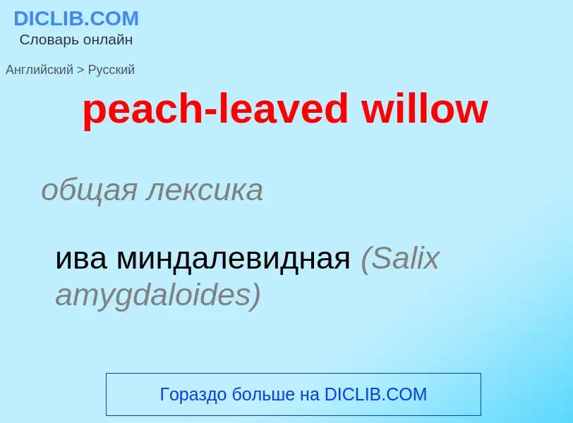 Как переводится peach-leaved willow на Русский язык