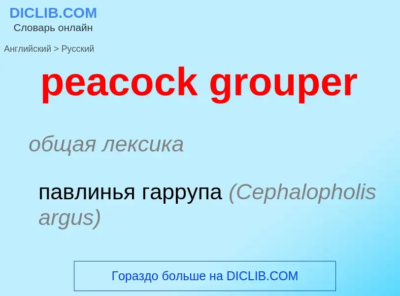 Μετάφραση του &#39peacock grouper&#39 σε Ρωσικά