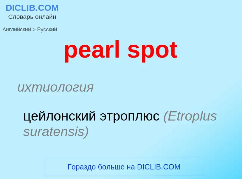 What is the Russian for pearl spot? Translation of &#39pearl spot&#39 to Russian