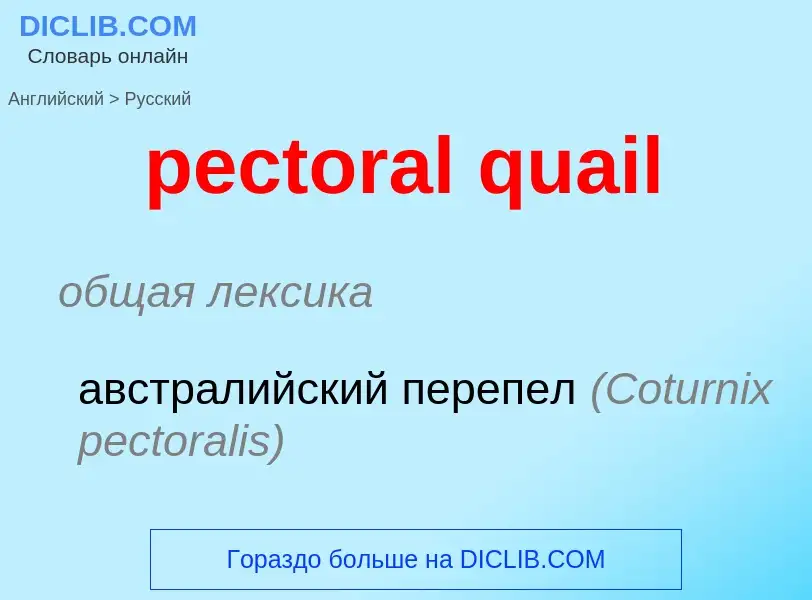 Μετάφραση του &#39pectoral quail&#39 σε Ρωσικά