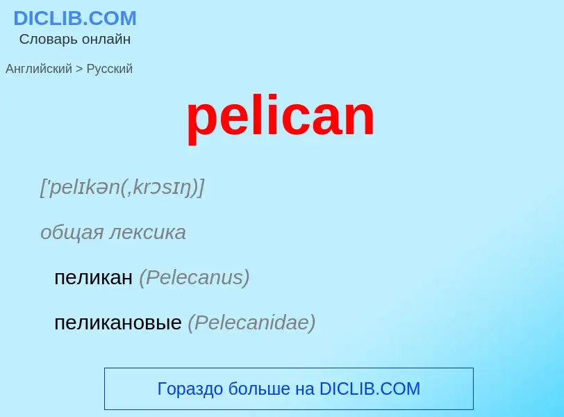 ¿Cómo se dice pelican en Ruso? Traducción de &#39pelican&#39 al Ruso