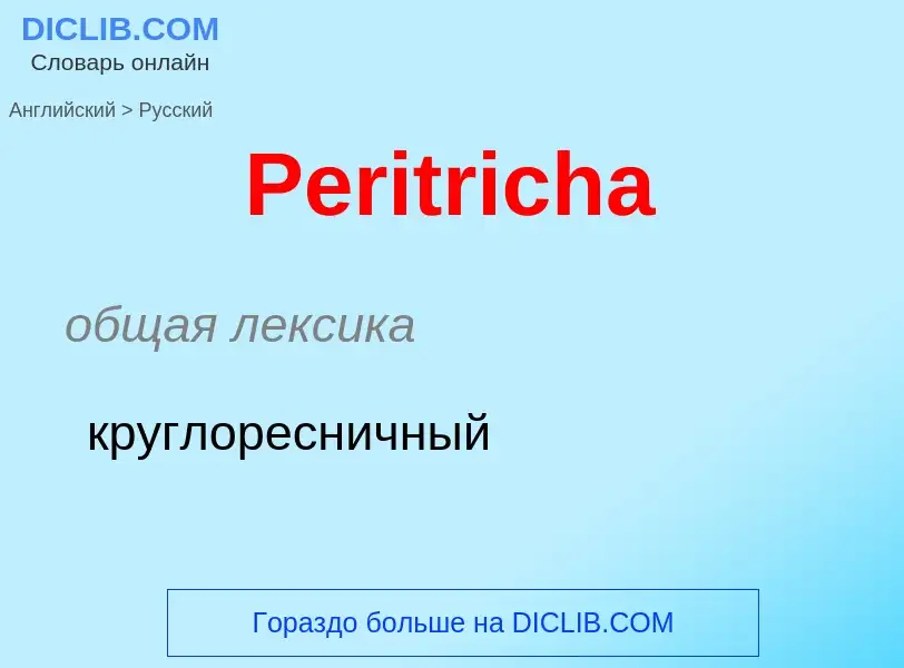 ¿Cómo se dice Peritricha en Ruso? Traducción de &#39Peritricha&#39 al Ruso