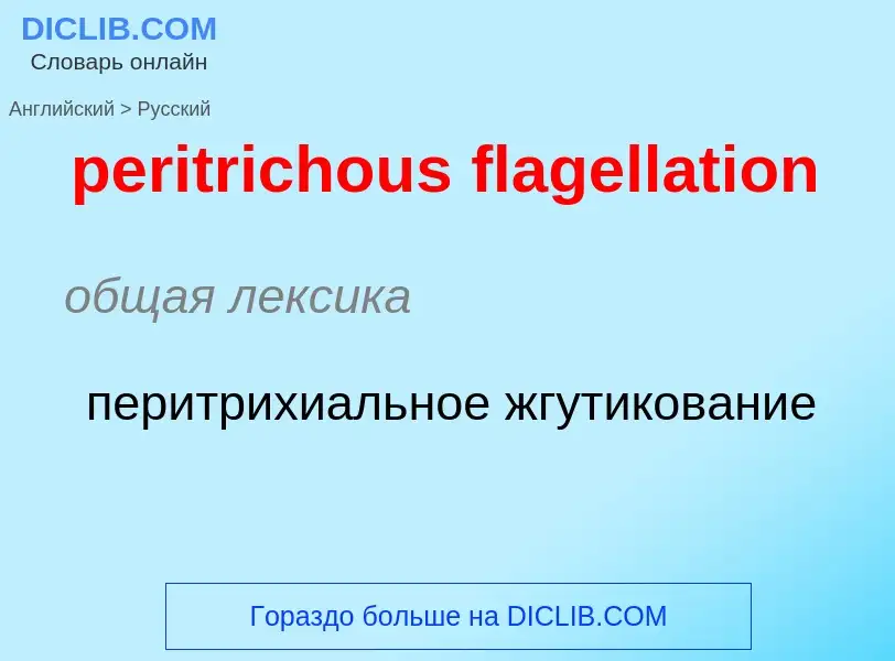 Как переводится peritrichous flagellation на Русский язык