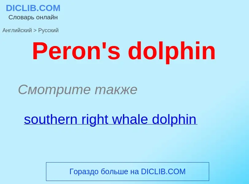 Как переводится Peron's dolphin на Русский язык