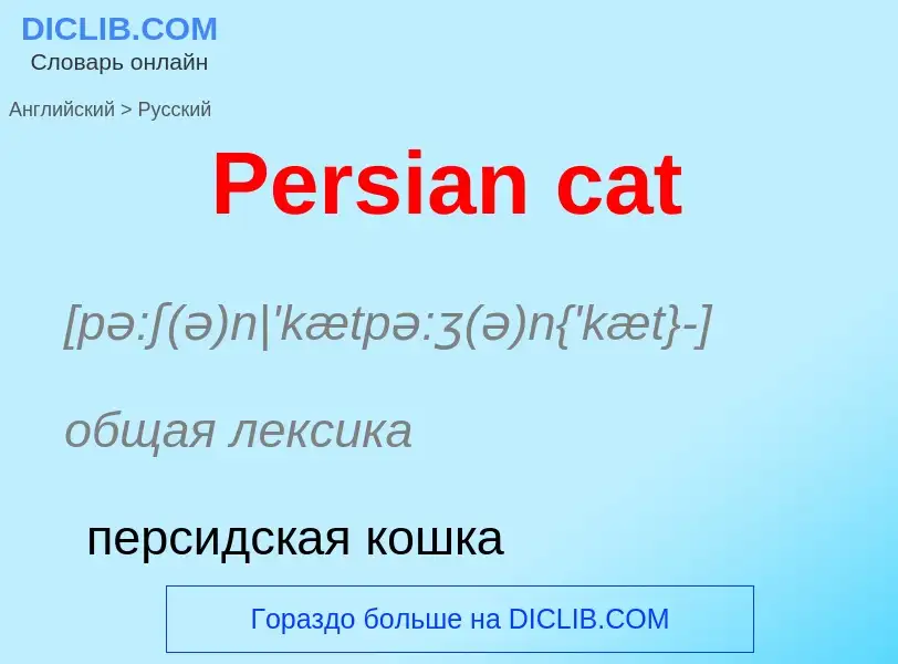 Как переводится Persian cat на Русский язык