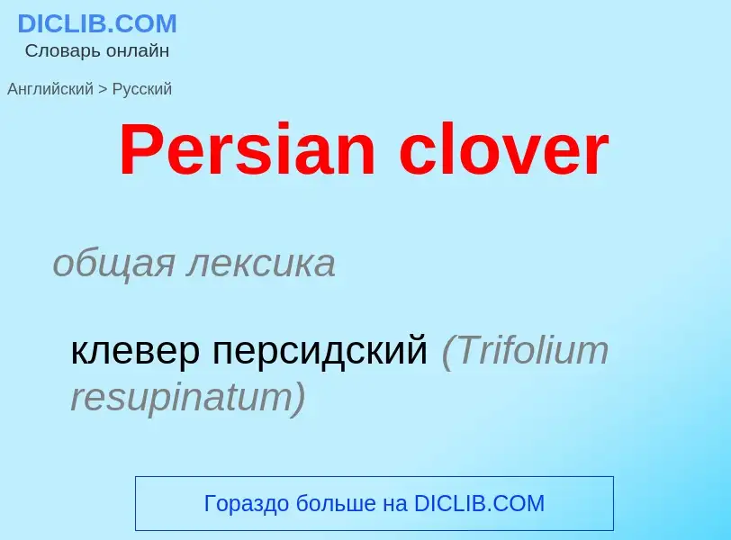 Как переводится Persian clover на Русский язык