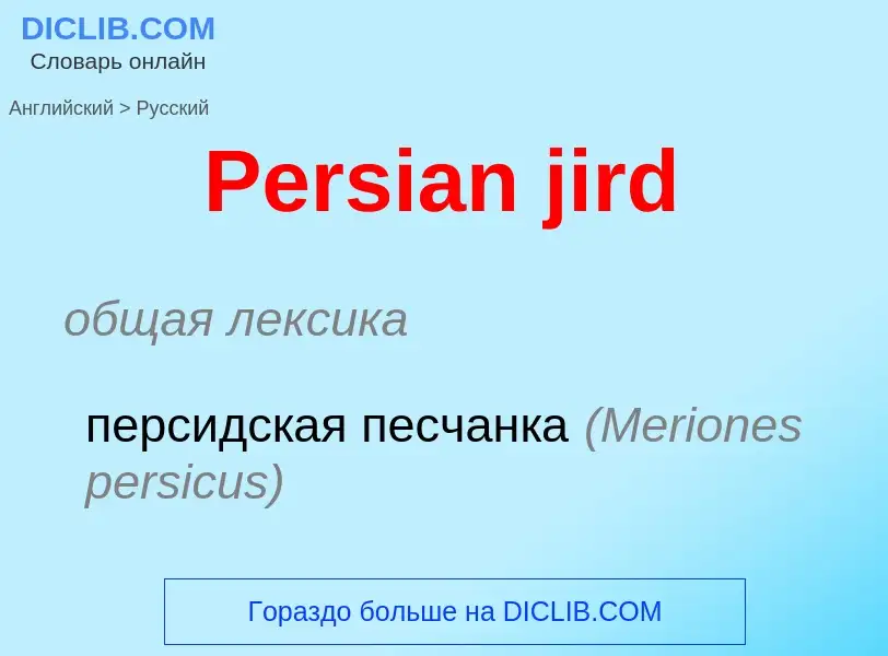 Как переводится Persian jird на Русский язык