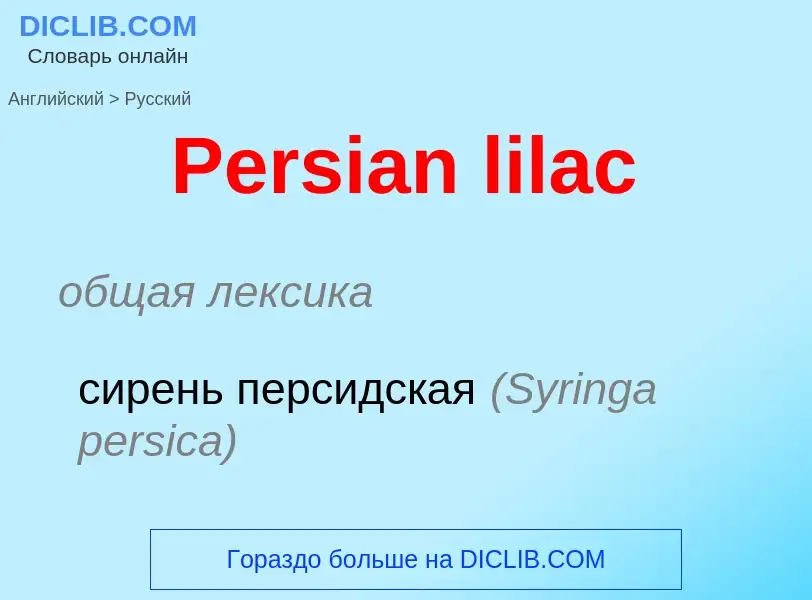 Как переводится Persian lilac на Русский язык