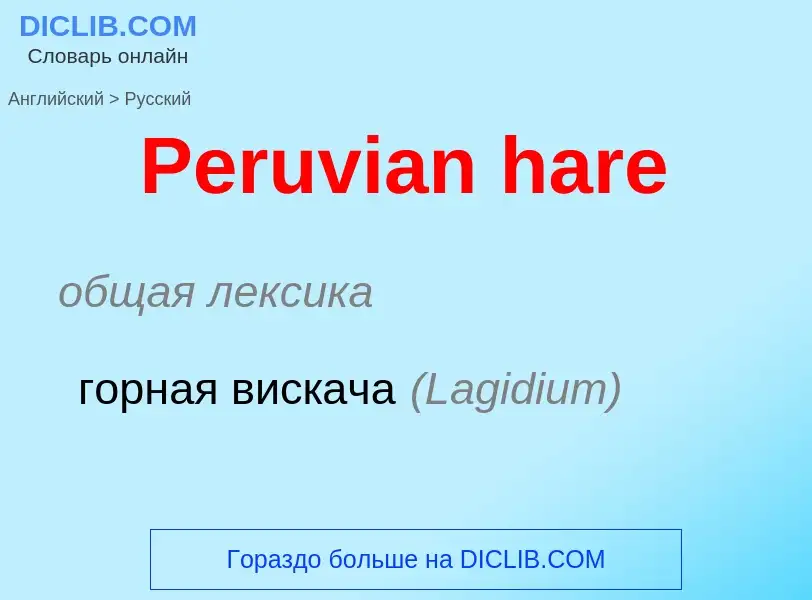 Как переводится Peruvian hare на Русский язык