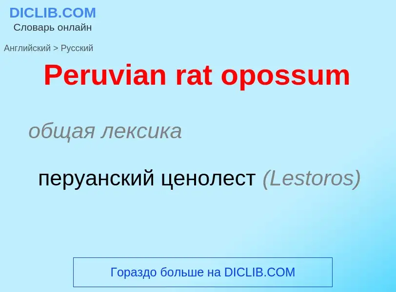 Как переводится Peruvian rat opossum на Русский язык